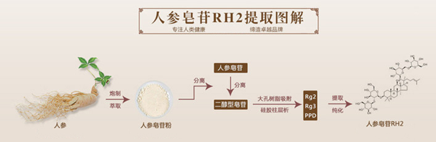 人参皂苷Rh2哪里买正规，国食健字有保障