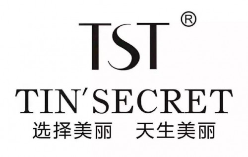 社交电商发展优势凸显，中国企业TST发展前景可期