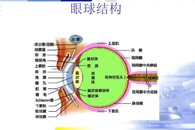 视乐纯眼球SPA到底是什么，让这么多人追捧