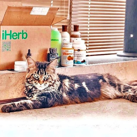 慕了！iHerb正品直邮尖货，买了又买，还超值？