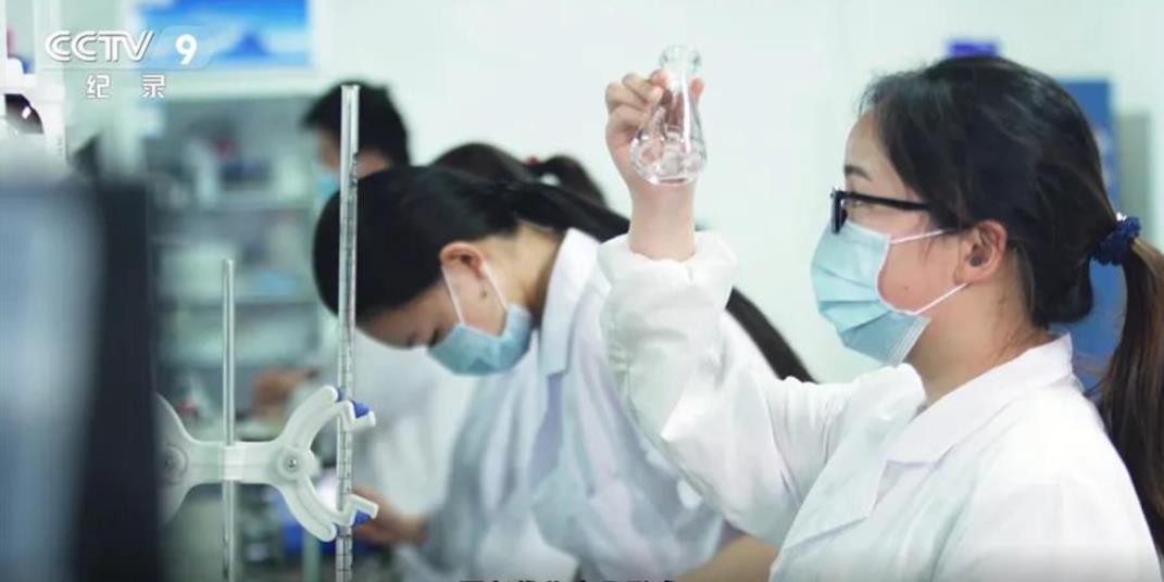 一举斩获两项大奖，绽妍硬核实力再获认可
