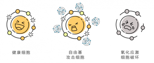 秋冬护肤，爱慕抗氧化保暖衣为你添加贴心“好料”